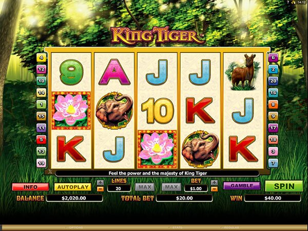 King Tiger Video Slot